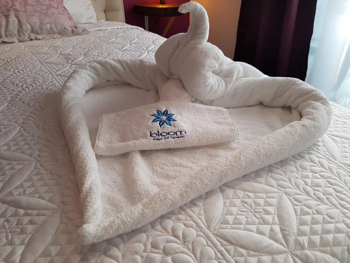 Bloom! Exclusive Boutique B&B (Adults Only) ปลายาเดลการ์เมน ภายนอก รูปภาพ